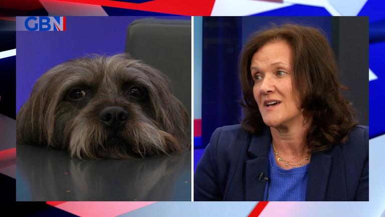 Money Talks: Pet care brand launches vegan pet food