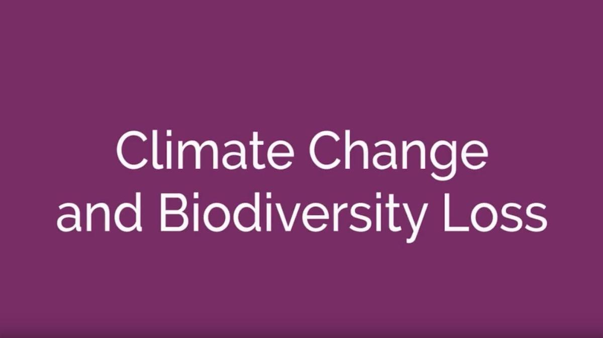 Climate Change and Biodiversity Loss