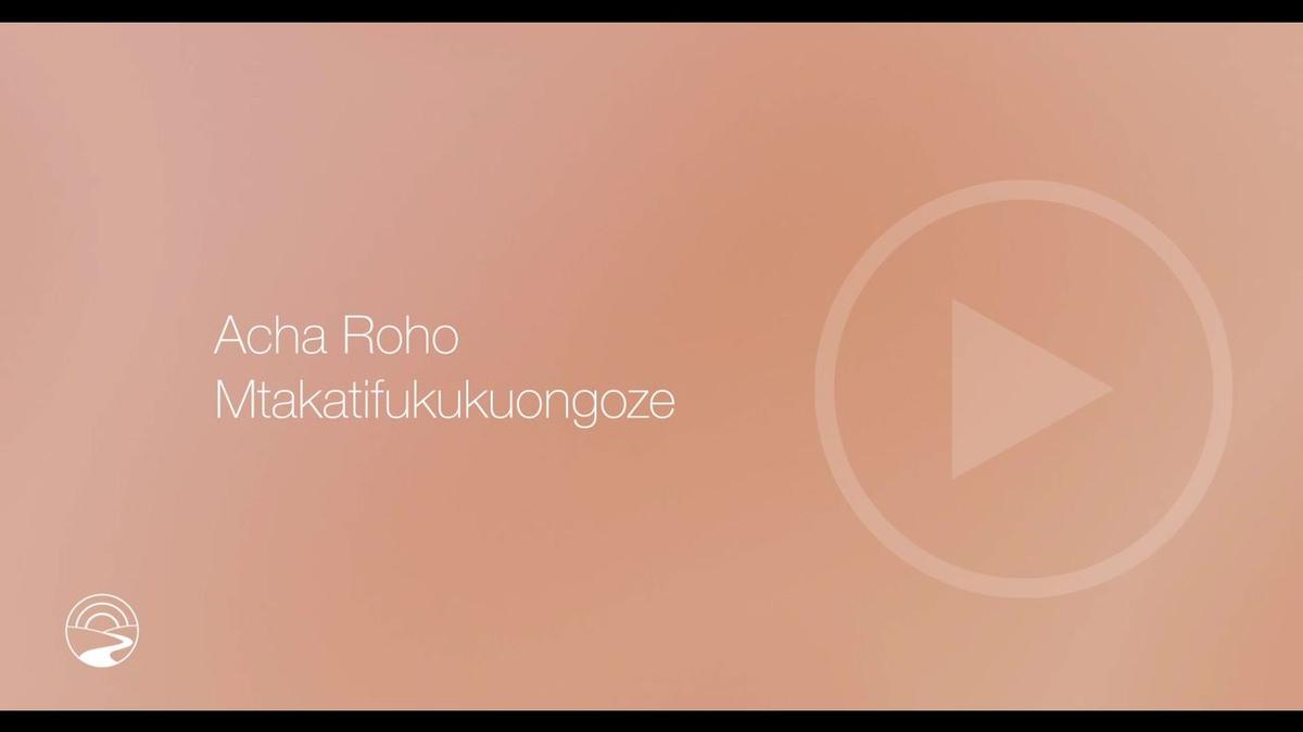 SW-TZ-SUB - How to 5 - Let the Holy Spirit Guide You