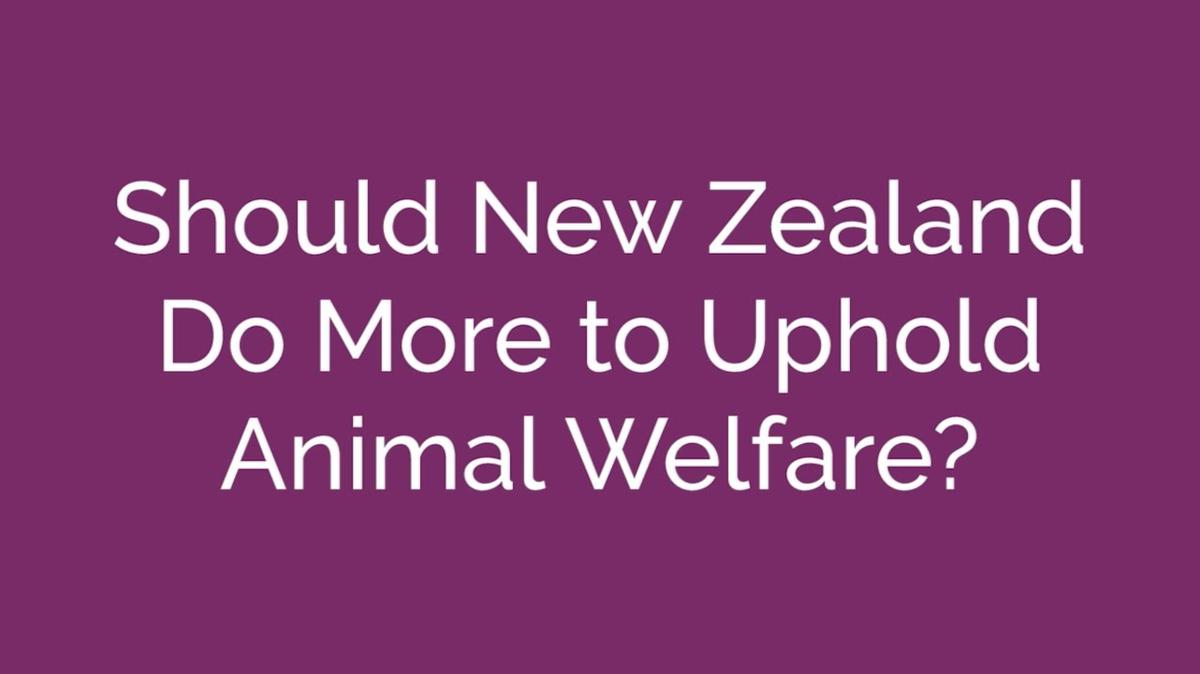 Animal welfare in New Zealand