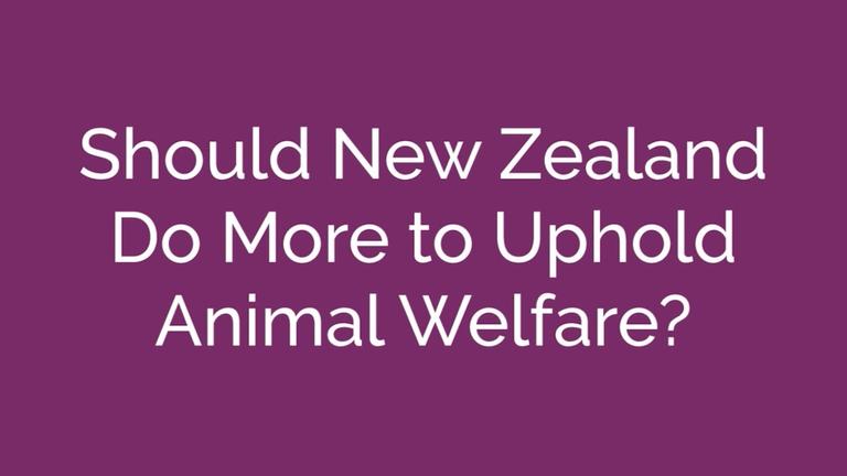 Animal welfare in New Zealand