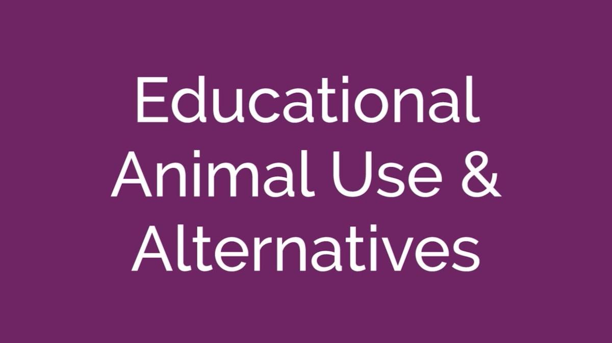 Educational Animal Use and Alternatives
