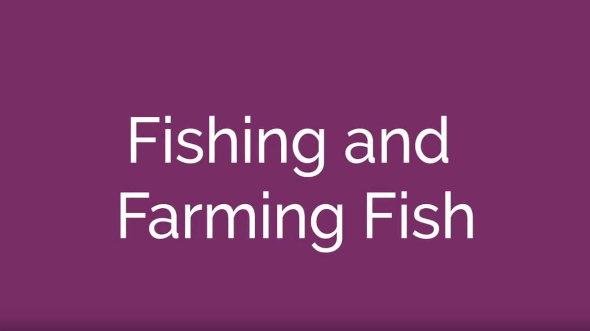 Fishing and Farming Fish