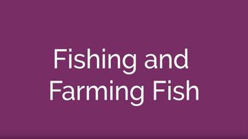 Fishing and Farming Fish