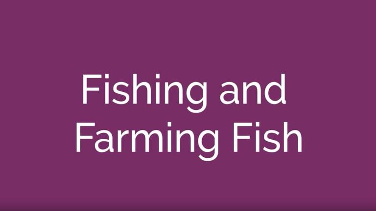 Fishing and Farming Fish
