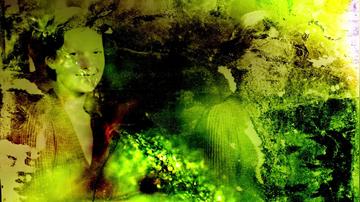 Cellulose Documents: Forget Me Not