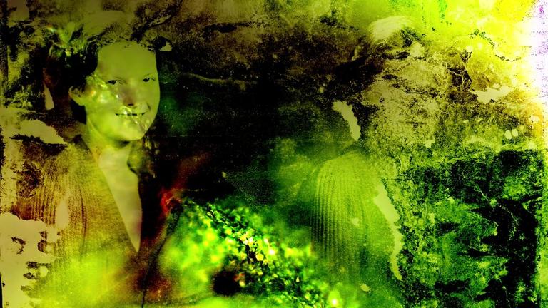 Cellulose Documents: Forget Me Not