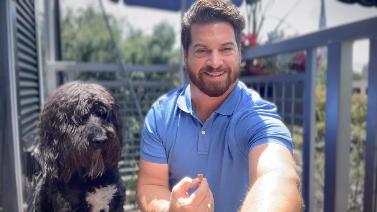 What is Dog Days and who is invited?