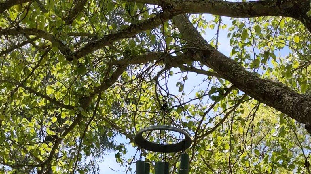 Wind chimes in the breeze