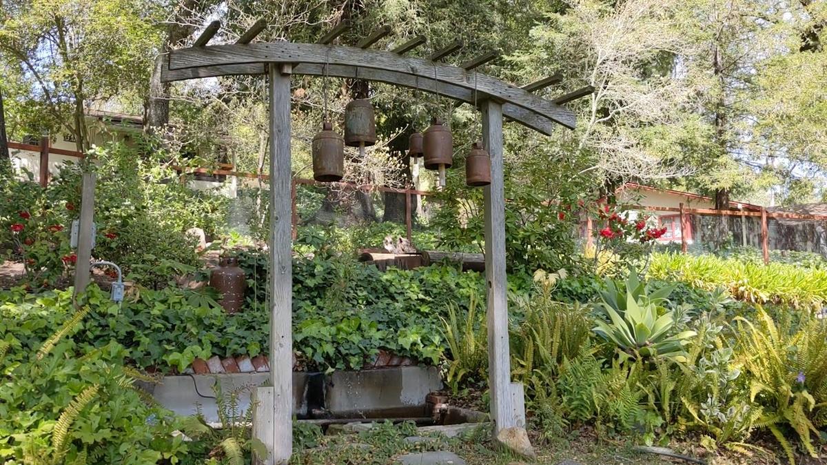 Frogs and a fountain