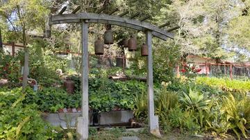 Frogs and a fountain