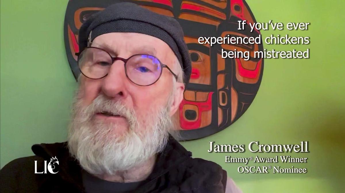 Legal Impact for Chickens_Three Steps