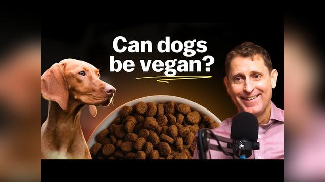Can dogs and cats be vegan (Andrew Knight)