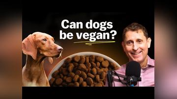 Can dogs and cats be vegan (Andrew Knight)