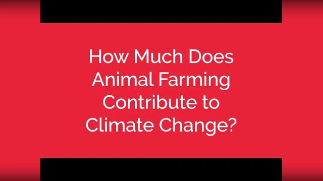 How Much Does Animal Farming Contribute to Climate Change
