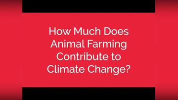 How Much Does Animal Farming Contribute to Climate Change