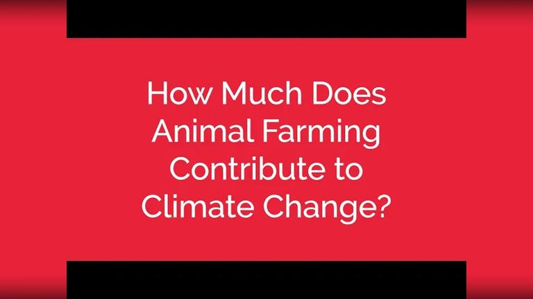 How Much Does Animal Farming Contribute to Climate Change