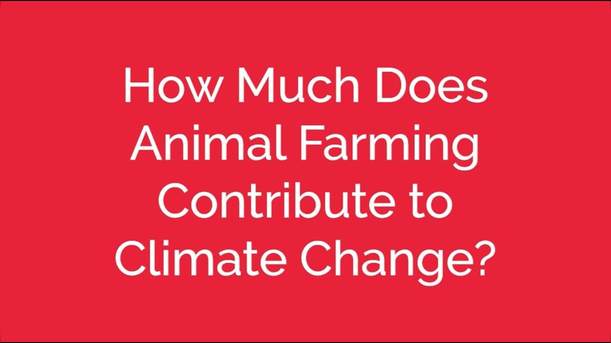3. Climate Change and Animals