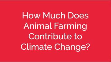 How Much Does Animal Farming Contribute to Climate Change