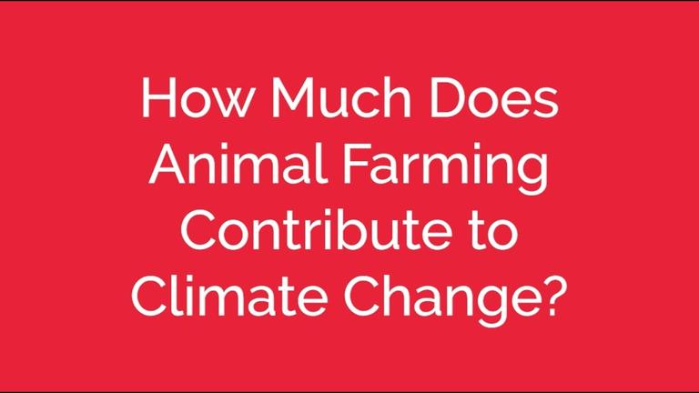 How Much Does Animal Farming Contribute to Climate Change