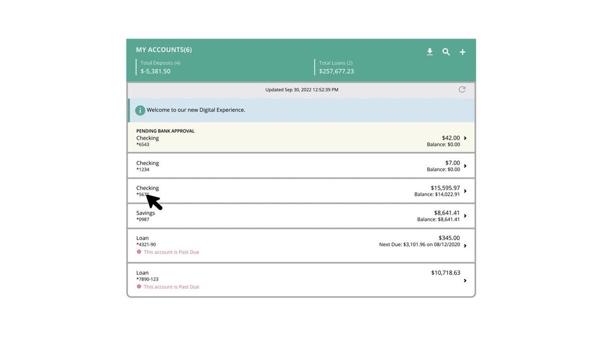 FFB Bank: Online Banking Basics