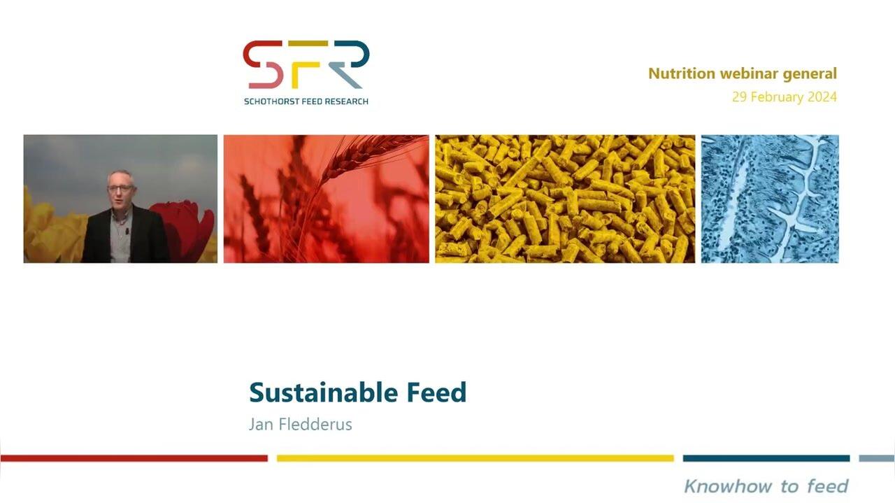 Sustainable Feed