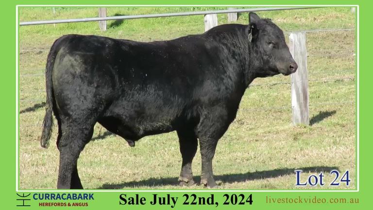 Lot 24