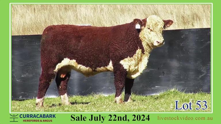 Lot 53