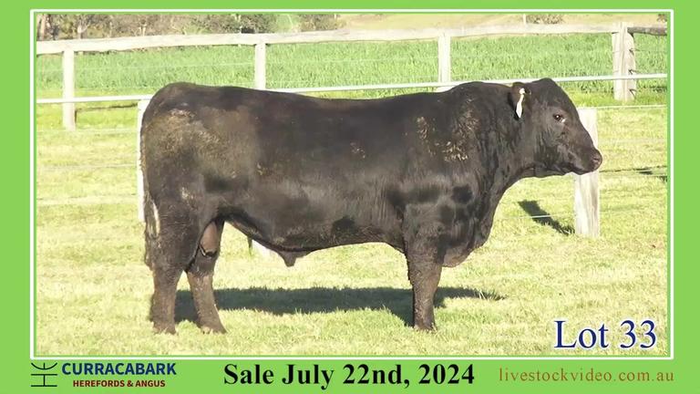 Lot 33