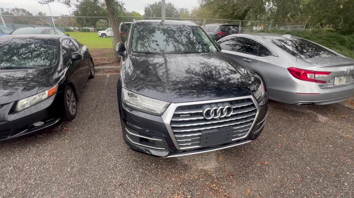 Audi u7/ Tiller Bucktrot