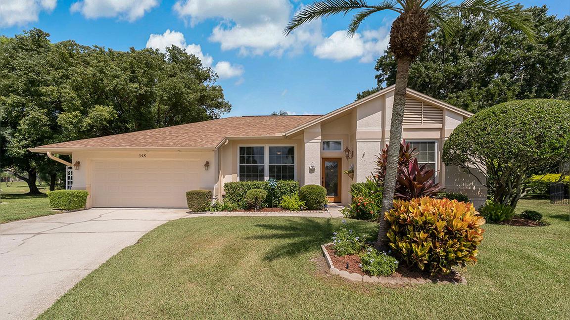 548 Hollowtree Pl, Tarpon Springs, FL 34688