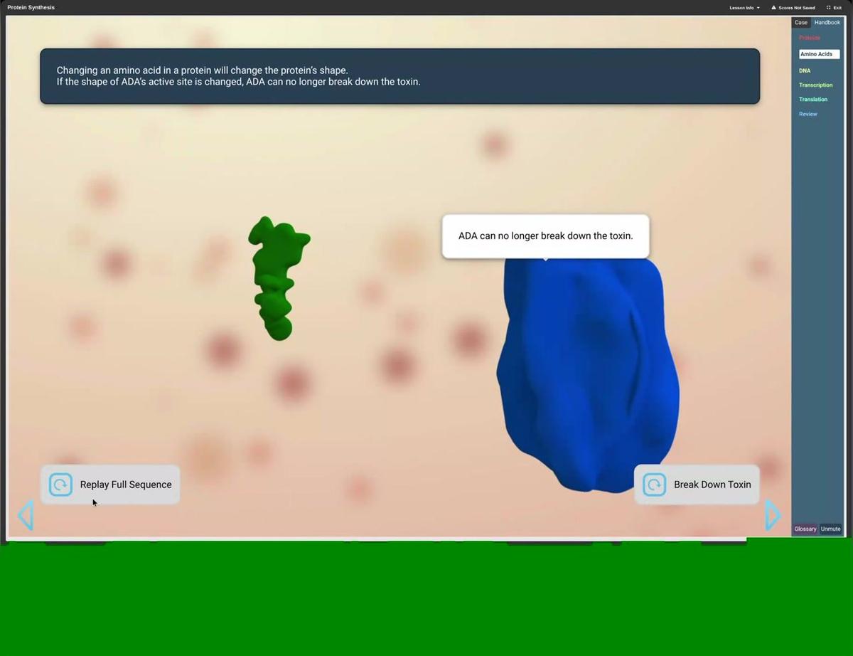 changing an amino acid in a protein will the its shape