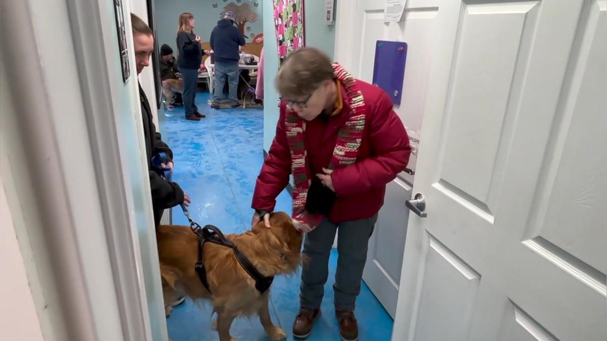 Belchertown Animal Control Rabies Clinic 01-25-2025