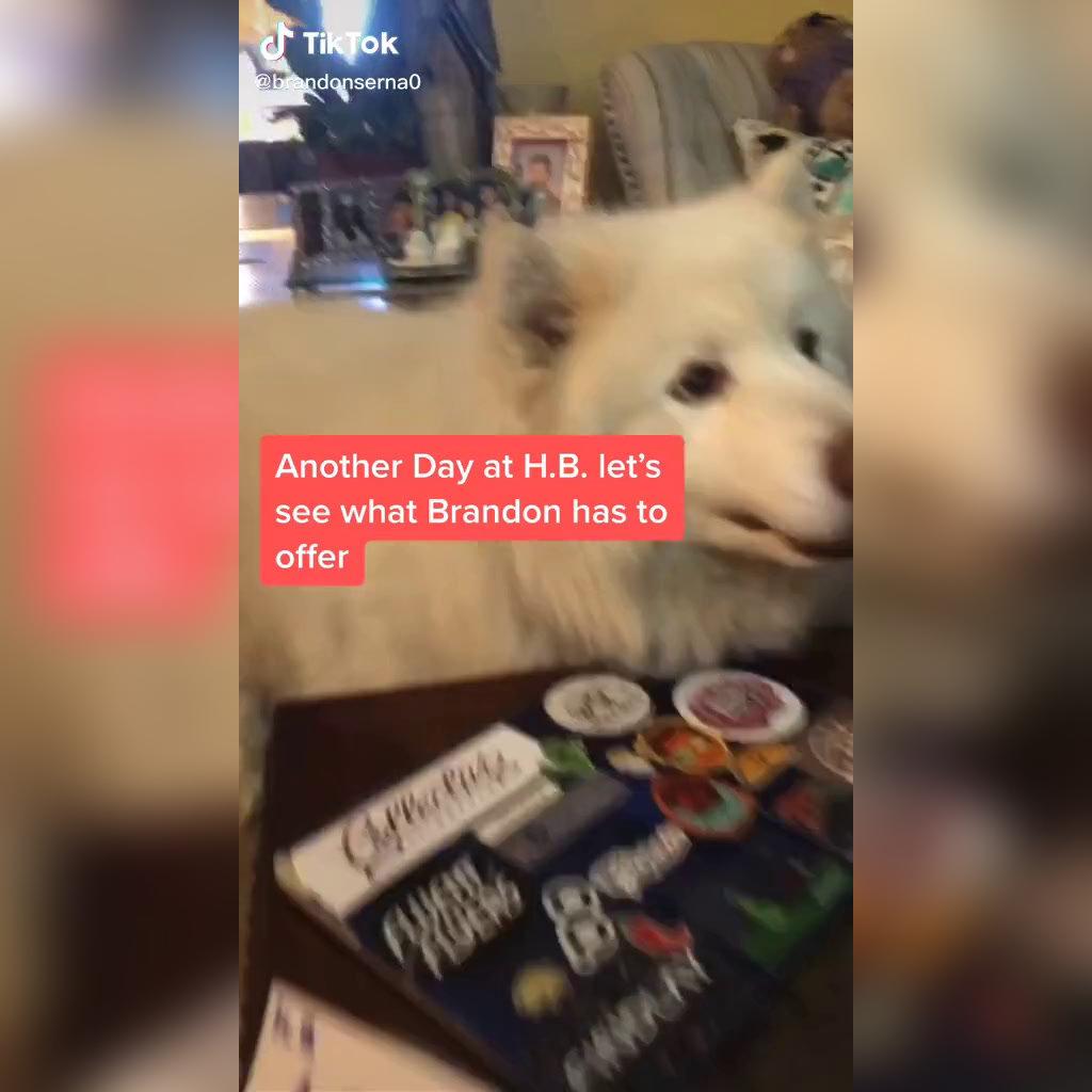 Intern Submission TikTok - Brandon Serna video