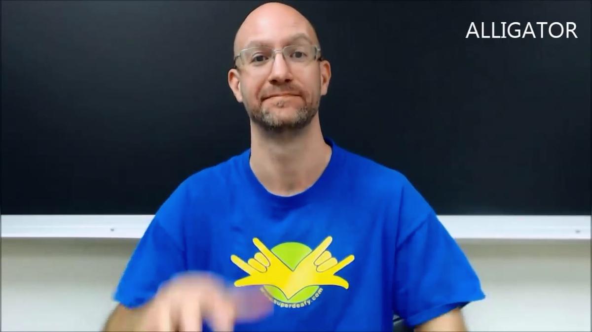 Animals _ ASL - American Sign Language.mp4