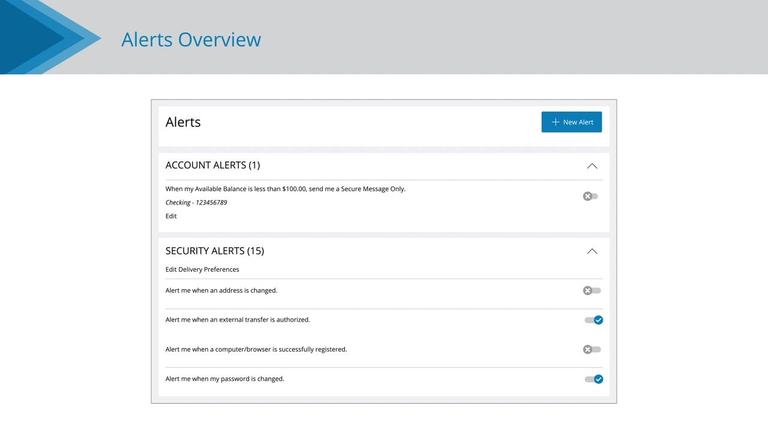 Alerts Overview