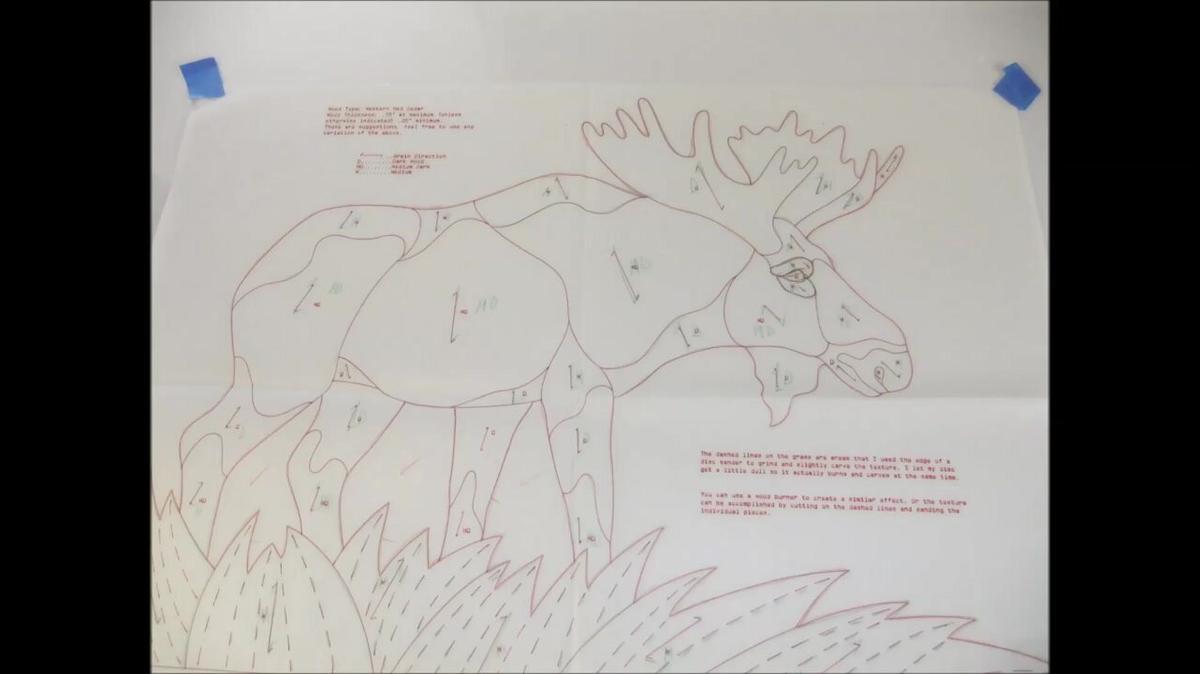 intarisa moose  (older video)