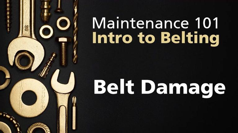 Maint101-4 Belting - 7 Belt Damage