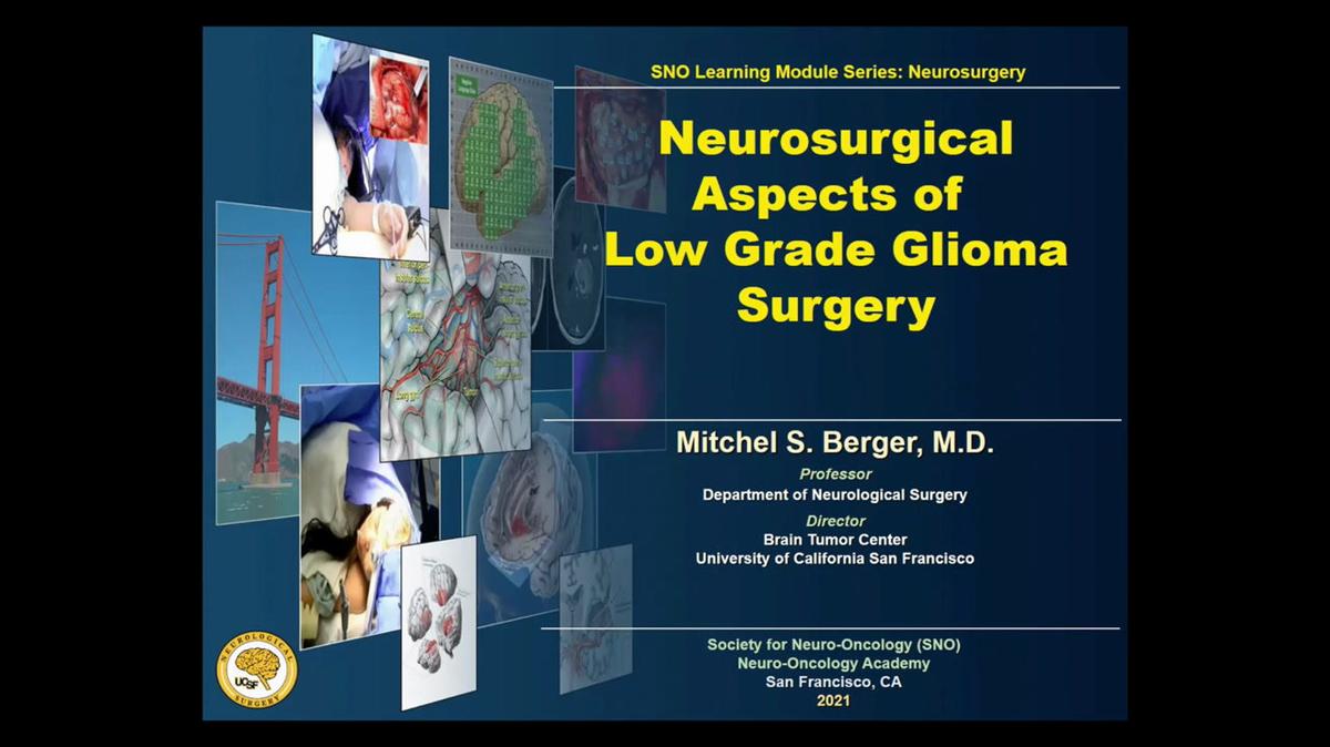 1590-Berger-SNOeLearning_(Talk).mp4