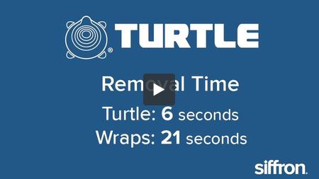 turtle video