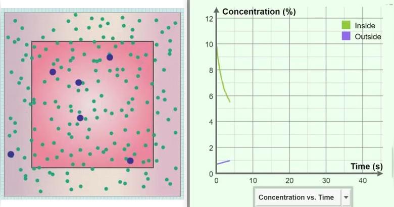 Osmosis Concentration Analysis 1