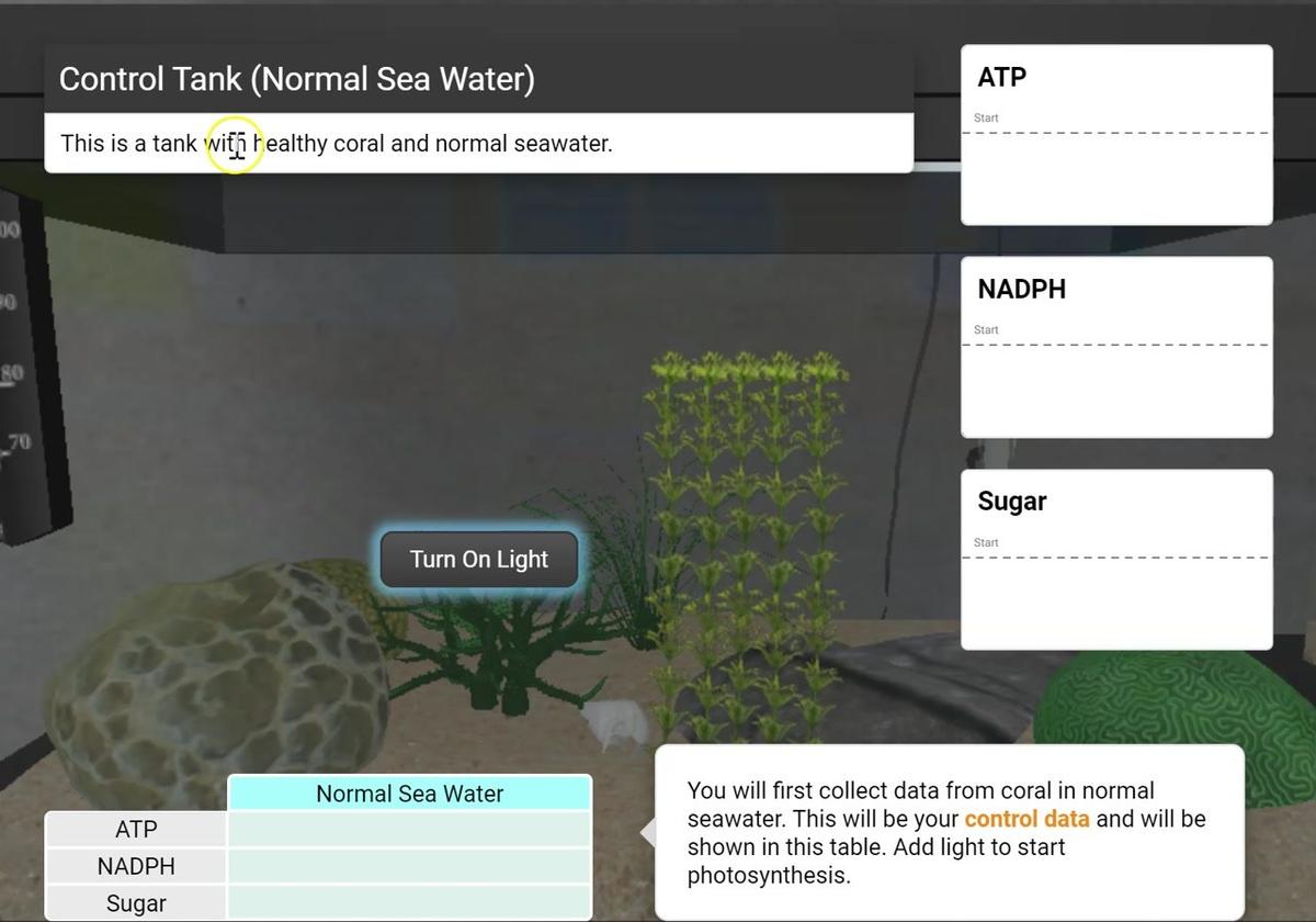 Photosynthesis STEM Case - Control Data