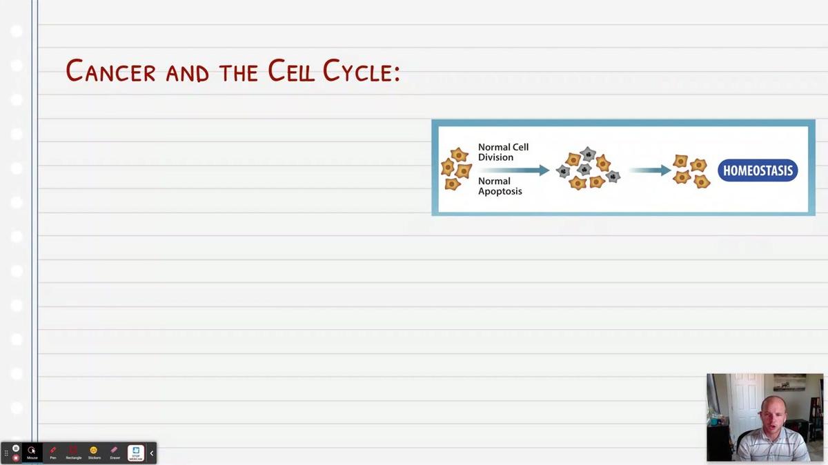 Topic 7: Cancer and the Cell Cycle