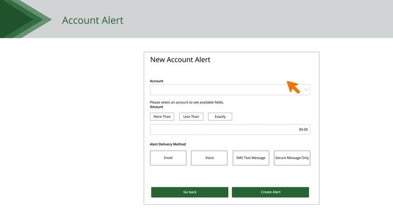 Account Alerts