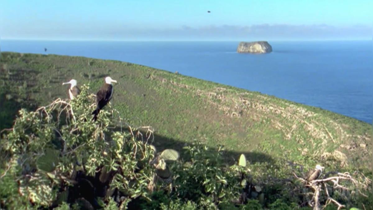 hhmi drought finches.mp4