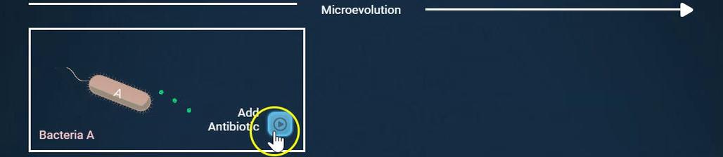 Microevolution.mp4