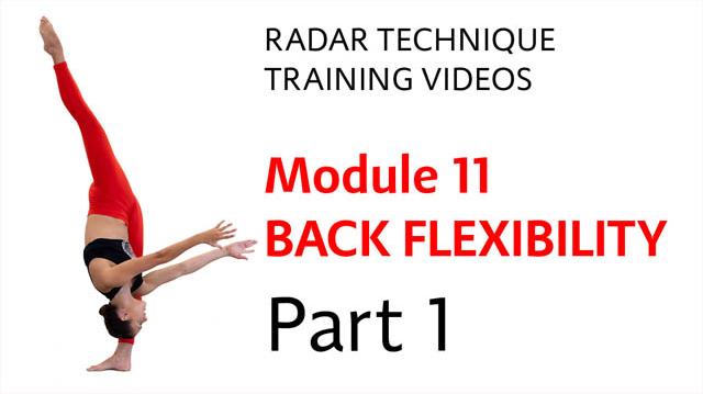 Module 11 Back Flexibility Part 1