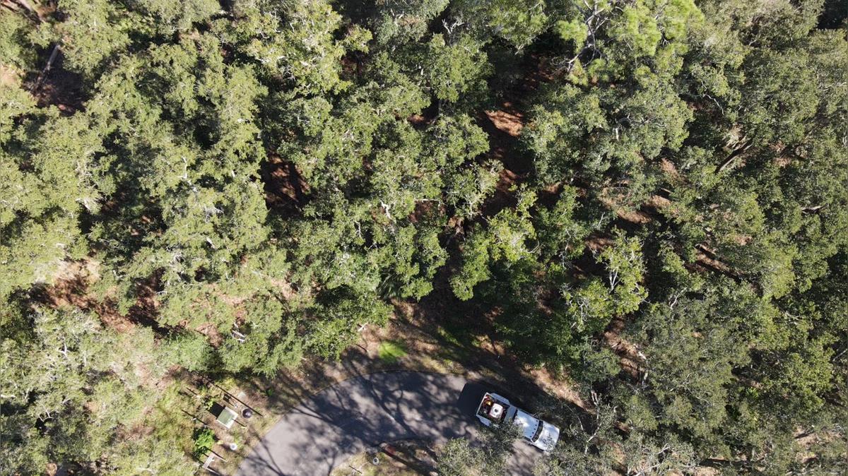 Lot 95 Top Down & 360.MOV