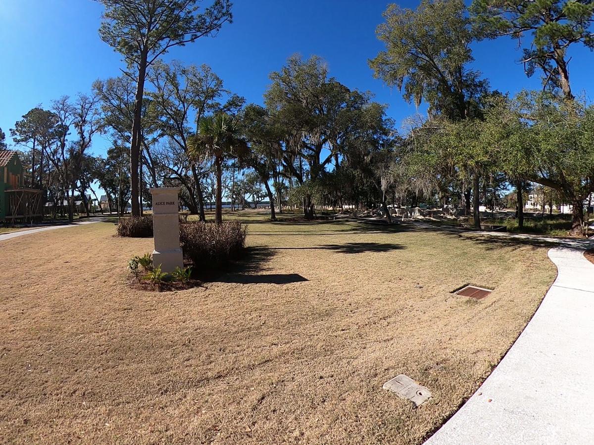 Alice Park - Ride Around - Jan 2021.MP4