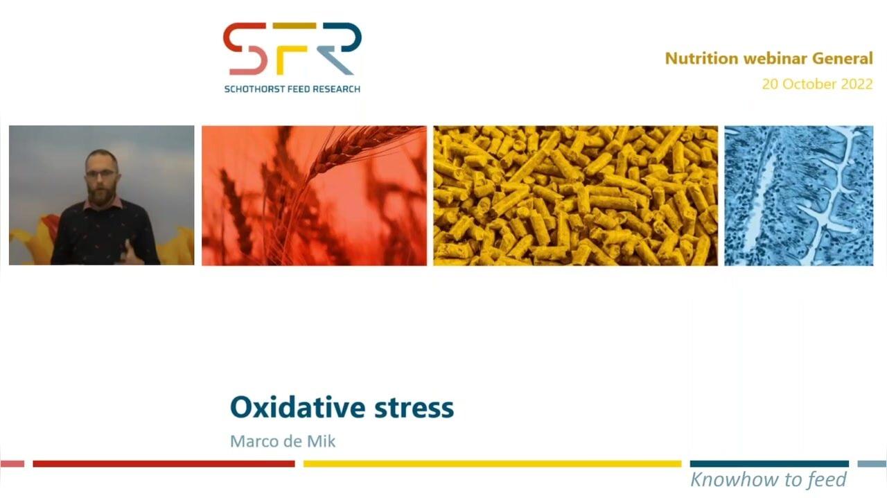 Oxidative stress